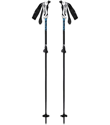 Amazon | シナノ ストック SINANO FREE X AL SKY フリーエックス